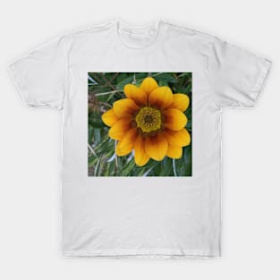 Yellow flower of rotorua nz T-Shirt